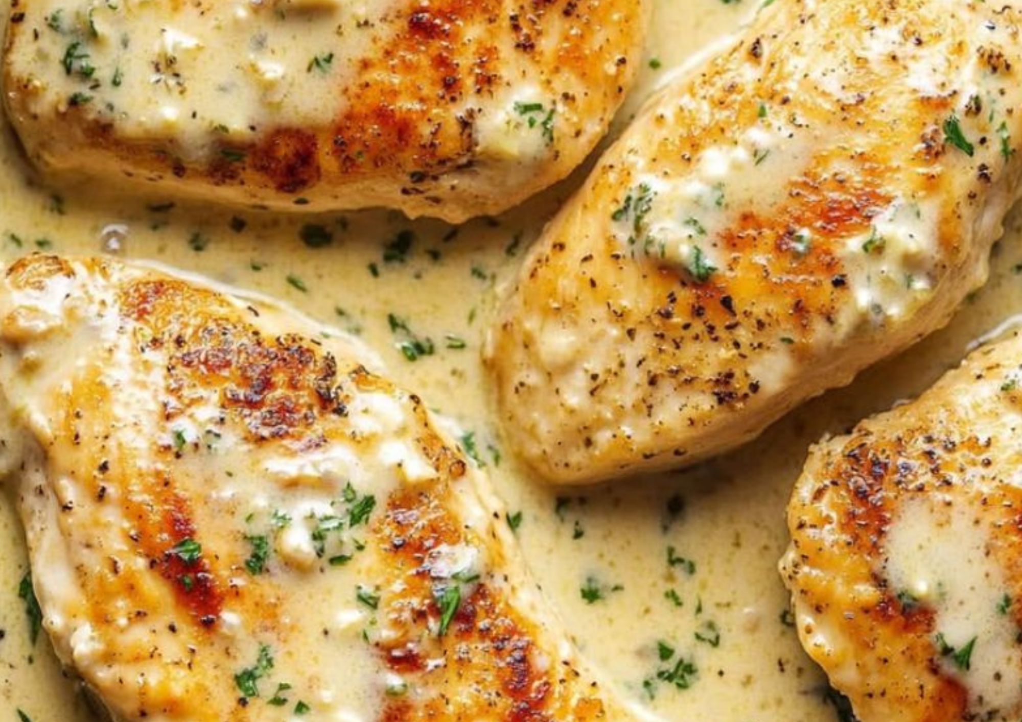 creamy garlic halal chicken recipe