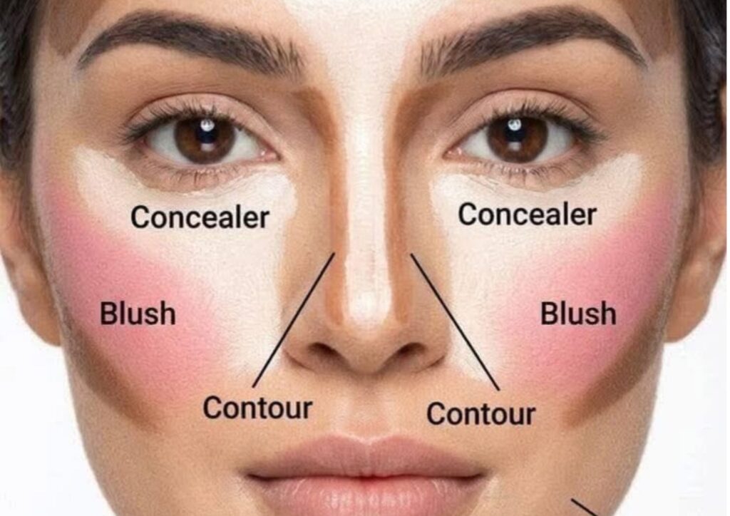 Blush contour and highlight placement for a round face
